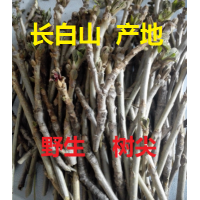 东北长白山野生新鲜核桃树枝尖山核桃树枝非青核桃皮树皮中药材
