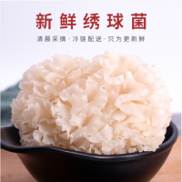 新鲜绣球菌1000g特产鲜菌菇花瓣菇新鲜绣球菇非干货绣球花煲汤料